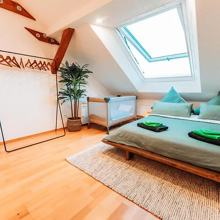 Spacious Penthouse With Ac And Free Parking Steps Away From The Station * Coblence